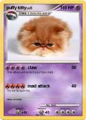 puffy kitty
