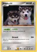 dogys