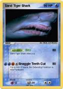 Sand Tiger Shark Sand Tiger