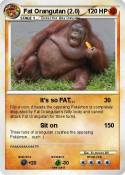 Fat Orangutan