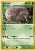 Kiwi bird