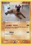Scuttle EX