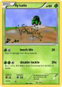 fly turtle
