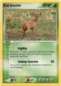 Red brocket