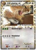 COD playing cat
