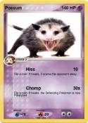Possum