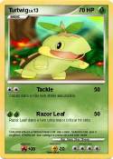 Turtwig