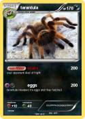 tarantula