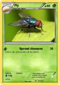 Fly