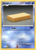 sponge