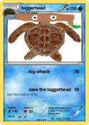loggerhead