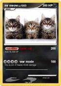 mr meow