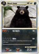 Black bear
