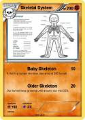 Skeletal System