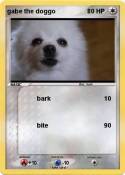 gabe the doggo