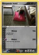 Sloopende hond
