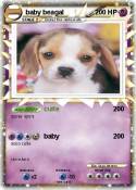 baby beagal