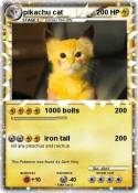 pikachu cat pikachu cat