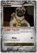 Pug Boss