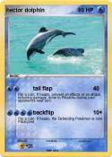 hector dolphin