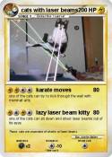 cats with laser