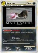 lazor cat