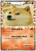 Doge