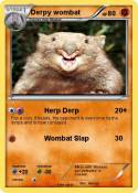 Derpy wombat