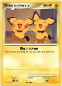 Pichu brothers