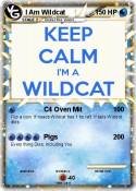 I Am Wildcat