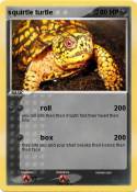 squirtle turtle