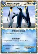 Weird penguin
