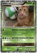 mario cat