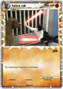 furios cat