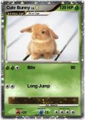 Cute Bunny