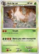 Rich fat cat