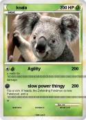 koala
