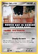 Hover Cat