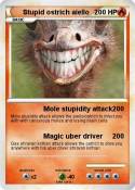 Stupid ostrich