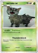 wet nala cat