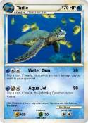 Turtle