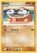 Old pug
