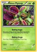 Venus Flytrap