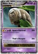 Water Bear Water Bear
