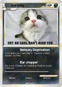Def Kitty Def Kitty