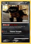 ninja cat