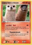 Llama Twins of