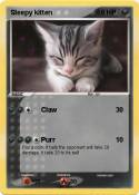 Sleepy kitten