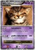 gatto felice