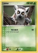Lemur Lemur